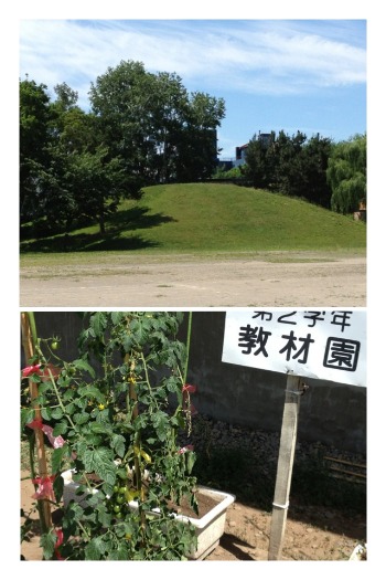 c0157510_1603810.jpg