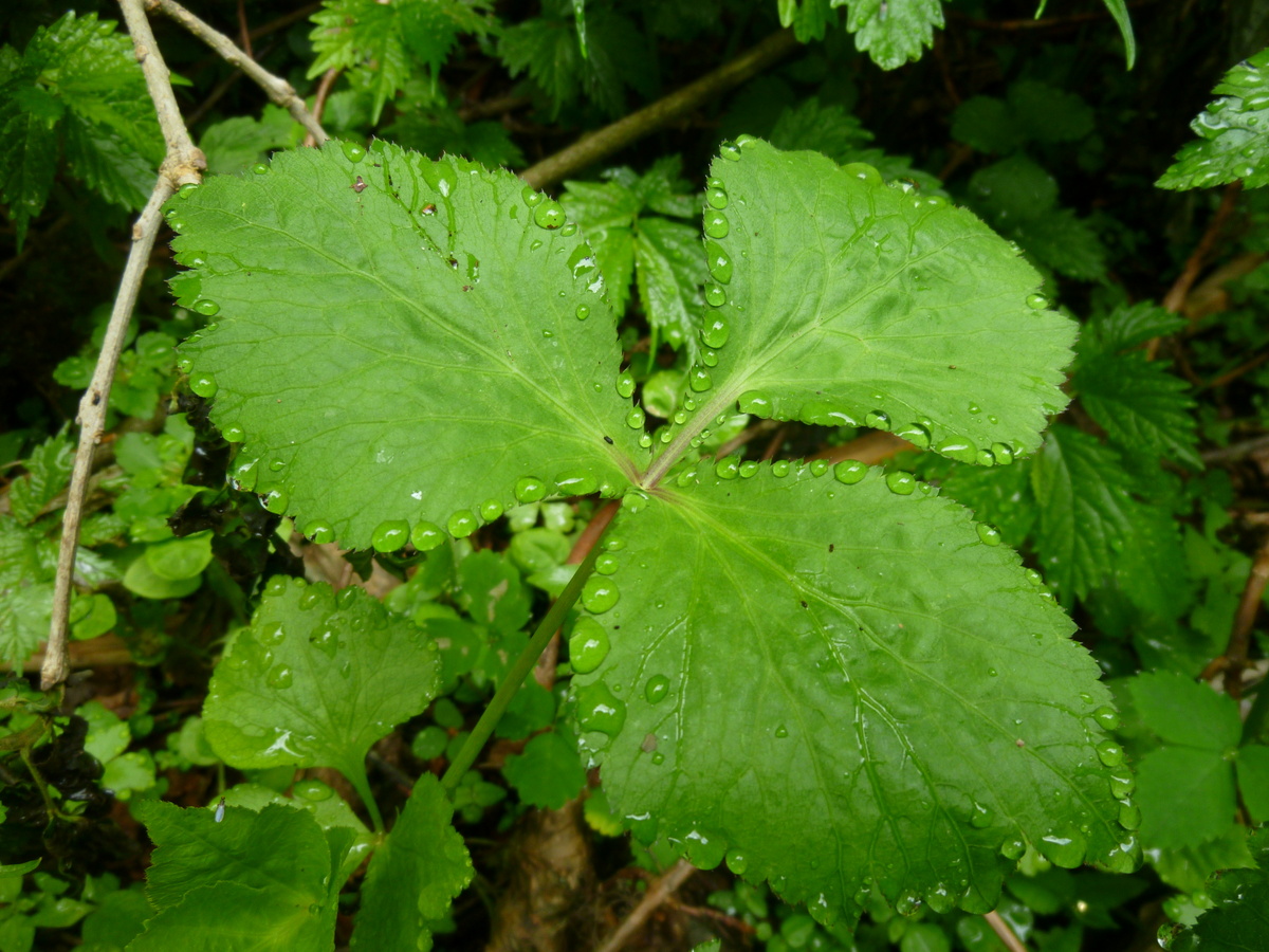 d0181314_9231010.jpg