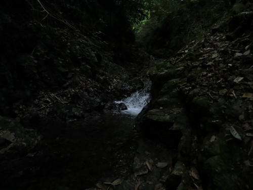 b0121015_21174839.jpg