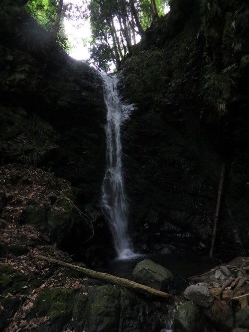 b0121015_21194958.jpg