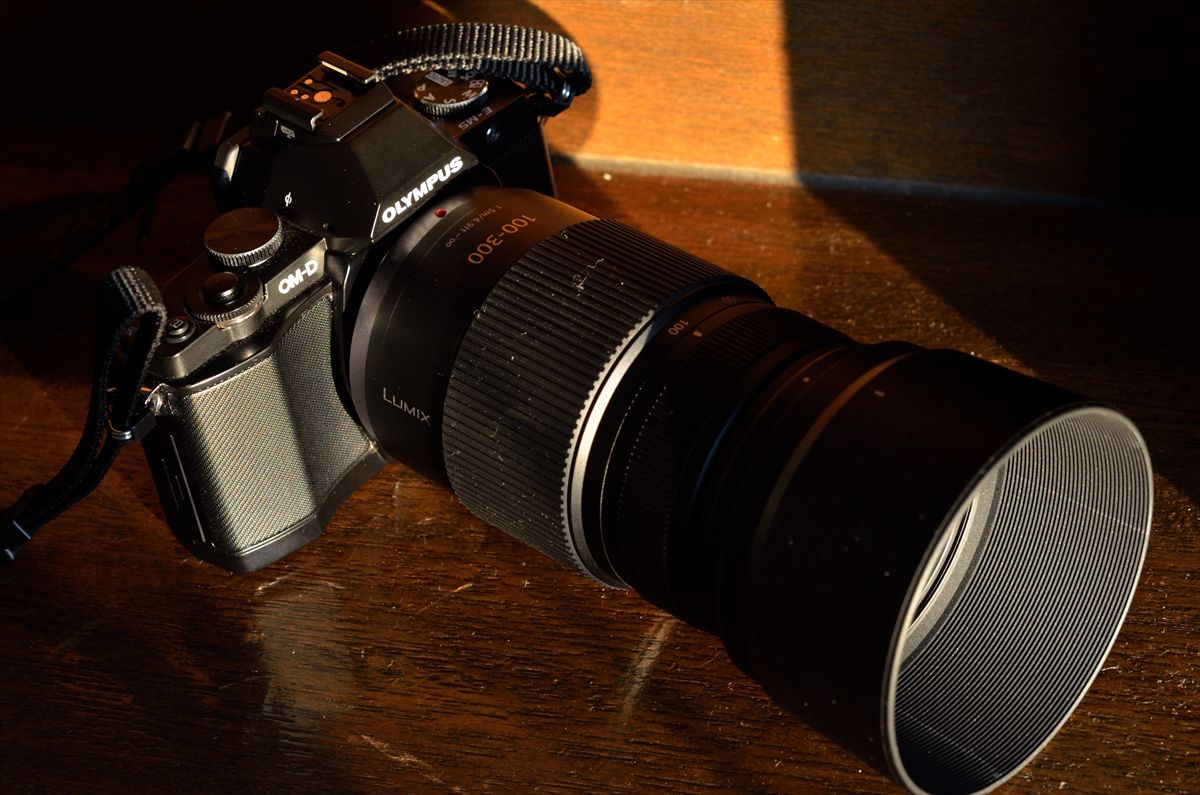 林東公園のエゾリス ~パナソニック100-300mm/F4.0-5.6 試し撮り 林東公園のエゾリス ~パナソニック100-300mm/F4.0-5.6 試し撮り