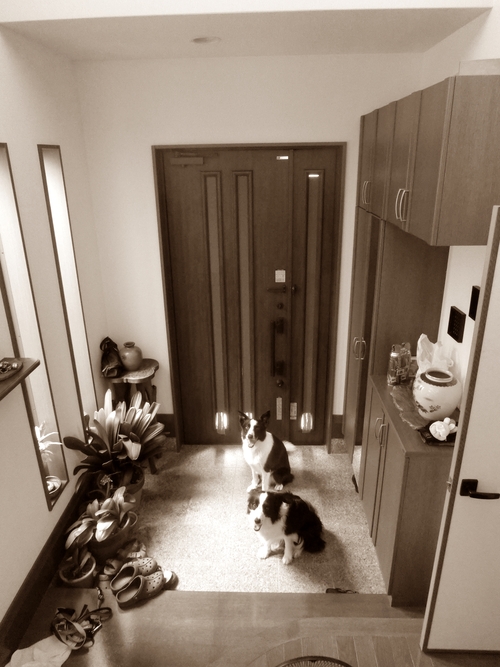 e0179321_2114570.jpg