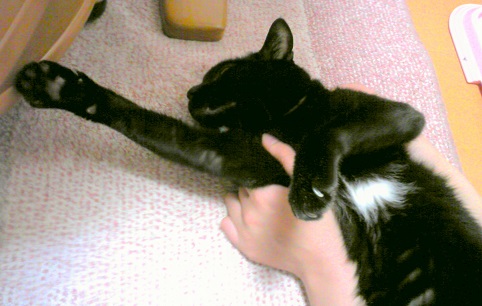 c0280322_2250984.jpg