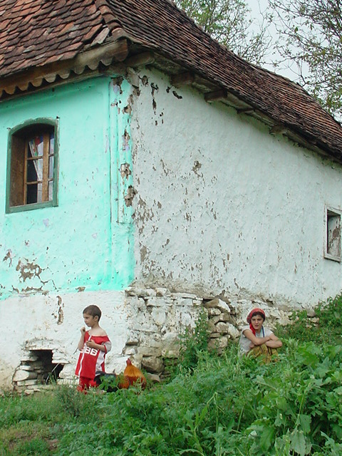 a0012423_219369.jpg