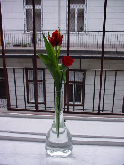 a0012423_241577.jpg