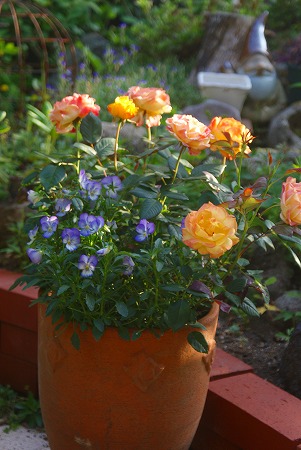 f0170524_12332145.jpg