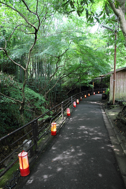 真夏の大原へ －呂川茶屋－_b0169330_14565583.jpg