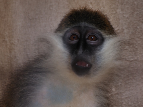 動物園_c0077531_22155119.jpg