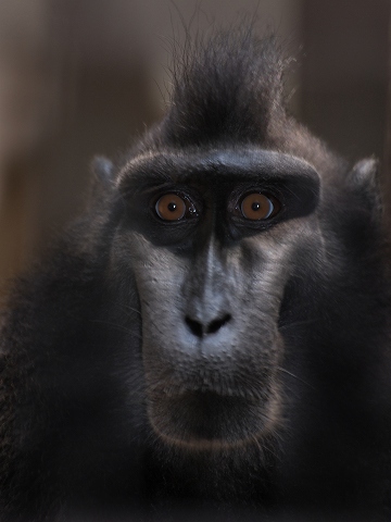 動物園_c0077531_22164970.jpg