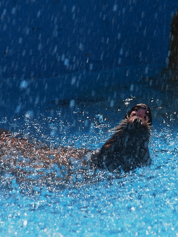 動物園_c0077531_2225610.jpg