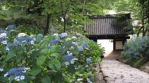 e0202031_2324096.jpg