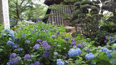 e0202031_23283535.jpg