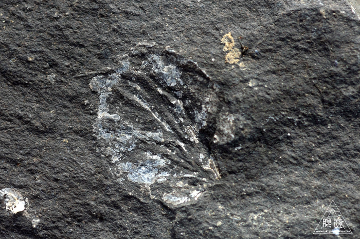 c0211532_21272050.jpg