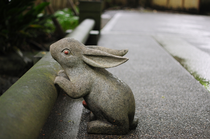 北鎌倉のアジサイ名所：明月院（めいげついん 2013.6.20）_a0260044_2395864.jpg