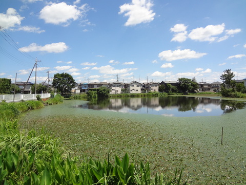 栗橋　水塚　石垣_b0274159_2242179.jpg