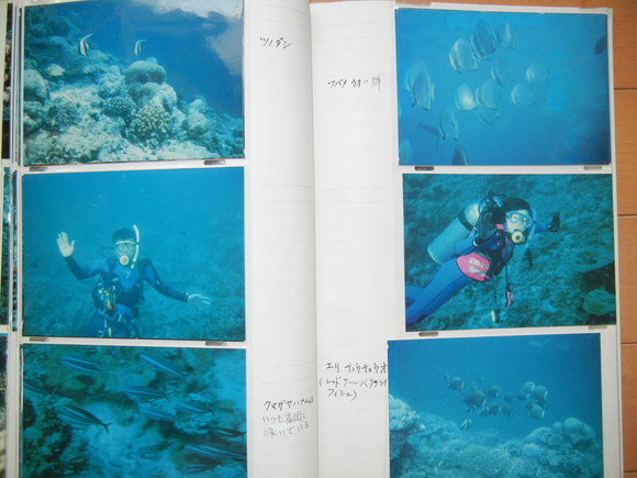 ’13,7,13(土)朝散歩でダイビングを思い出したYO!_f0060461_1337256.jpg