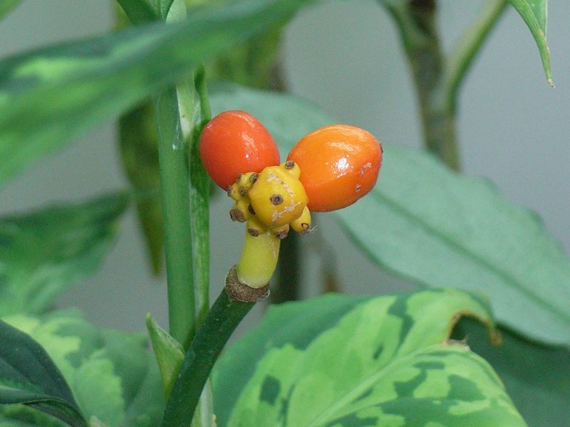 d0249970_202213.jpg