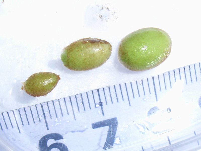 d0249970_2030233.jpg