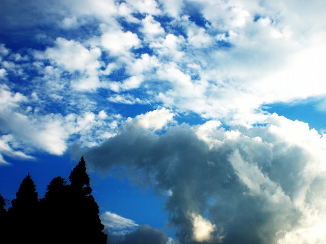 b0135573_23283177.jpg