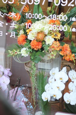 f0278281_23532378.jpg