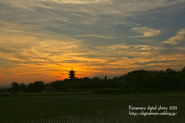 備中国分寺の夕景　7/12_c0083985_1223081.jpg