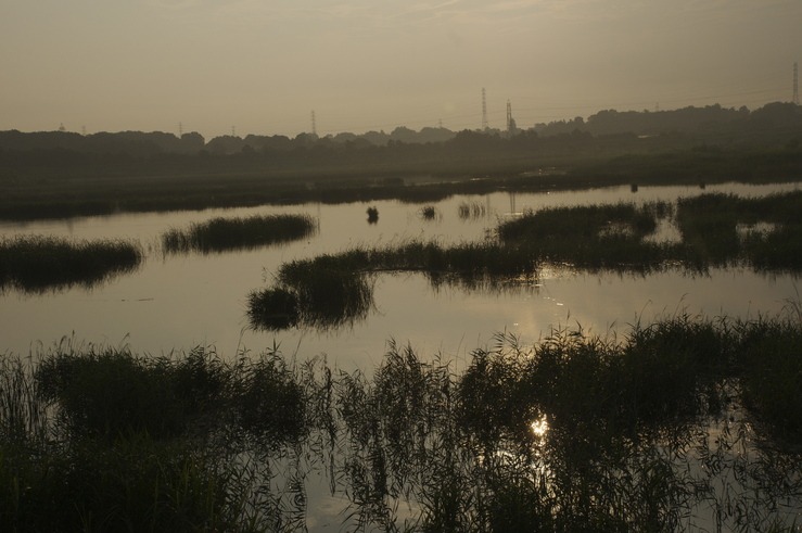 b0217090_13291491.jpg