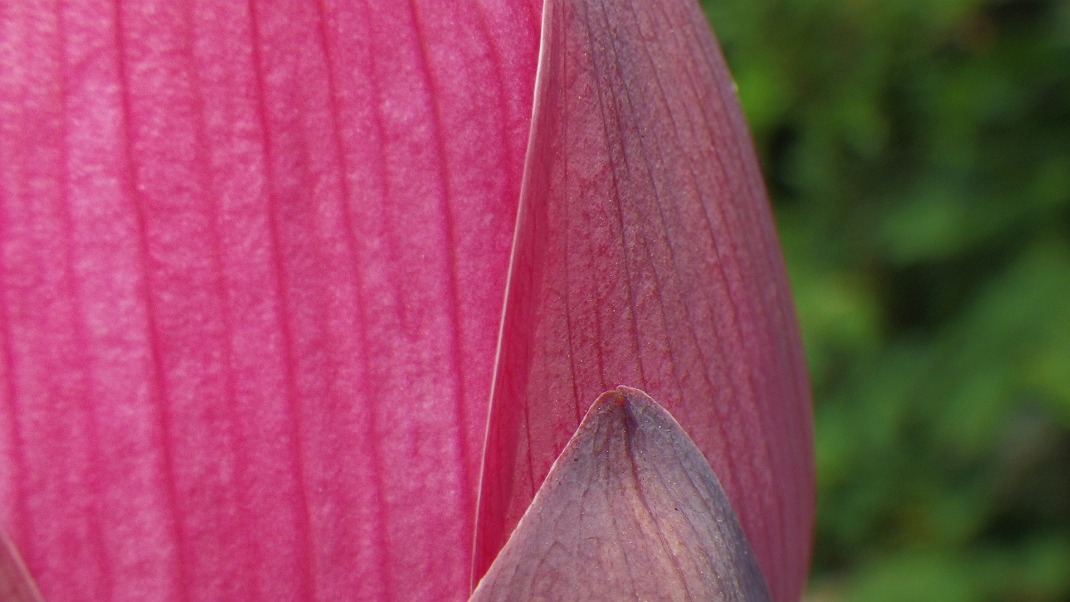 a0152692_18101416.jpg