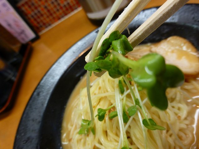 c0118393_17134875.jpg