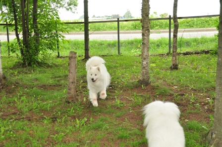 古山貯水池自然公園オートキャンプ場_f0212597_1314971.jpg