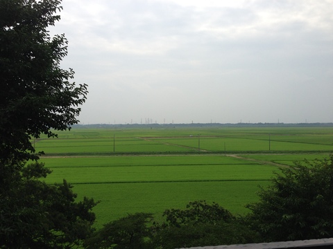 d0321300_16171610.jpg