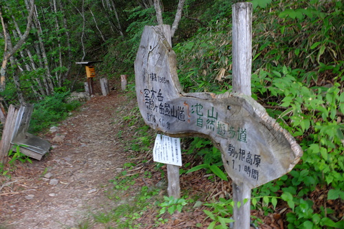 お花とガスの空木岳・日帰り①_e0304001_21471658.jpg