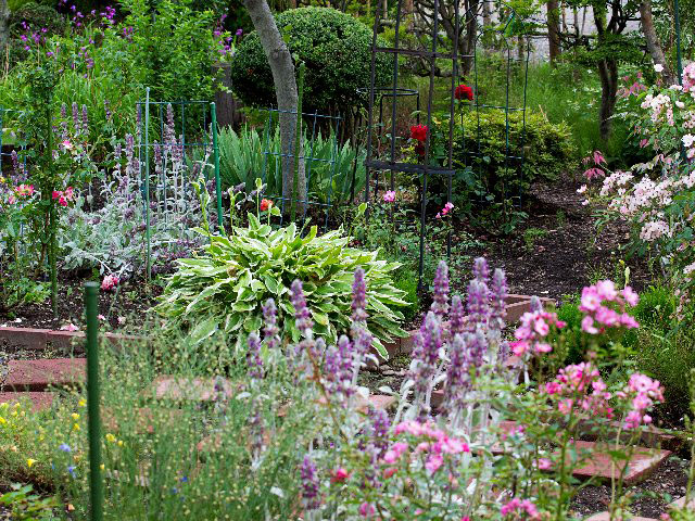 c0008502_8531434.jpg