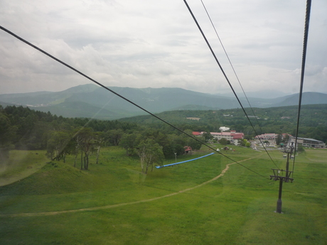 f0250403_14504037.jpg