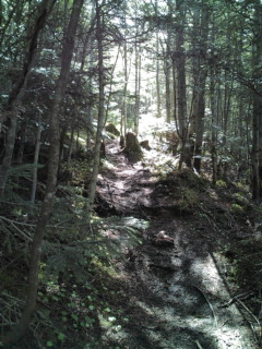 e0028904_17192291.jpg