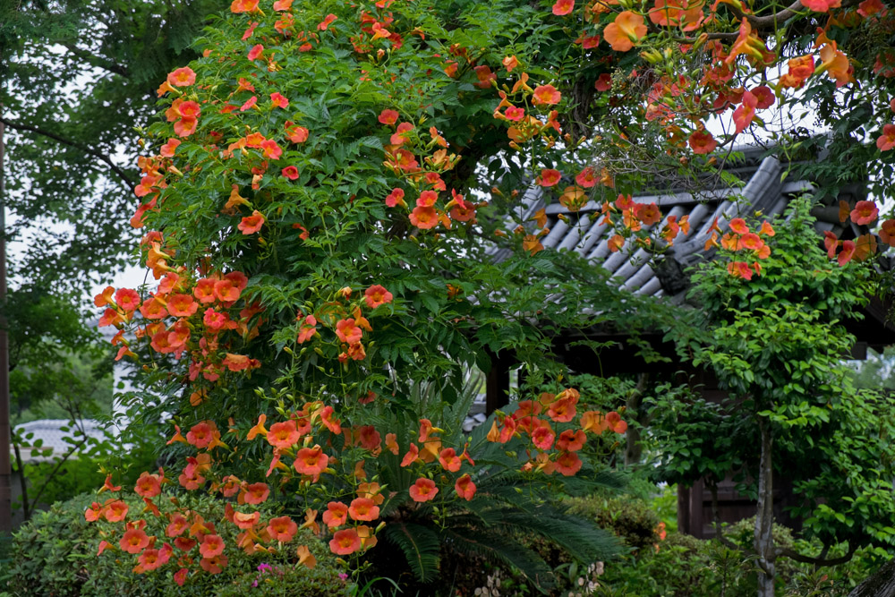 b0221605_812933.jpg