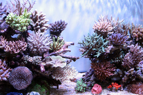 c0165807_2022740.jpg