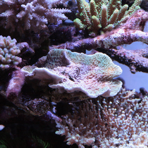 c0165807_2035764.jpg