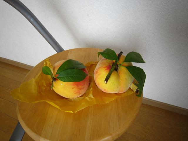 a0141408_21582288.jpg
