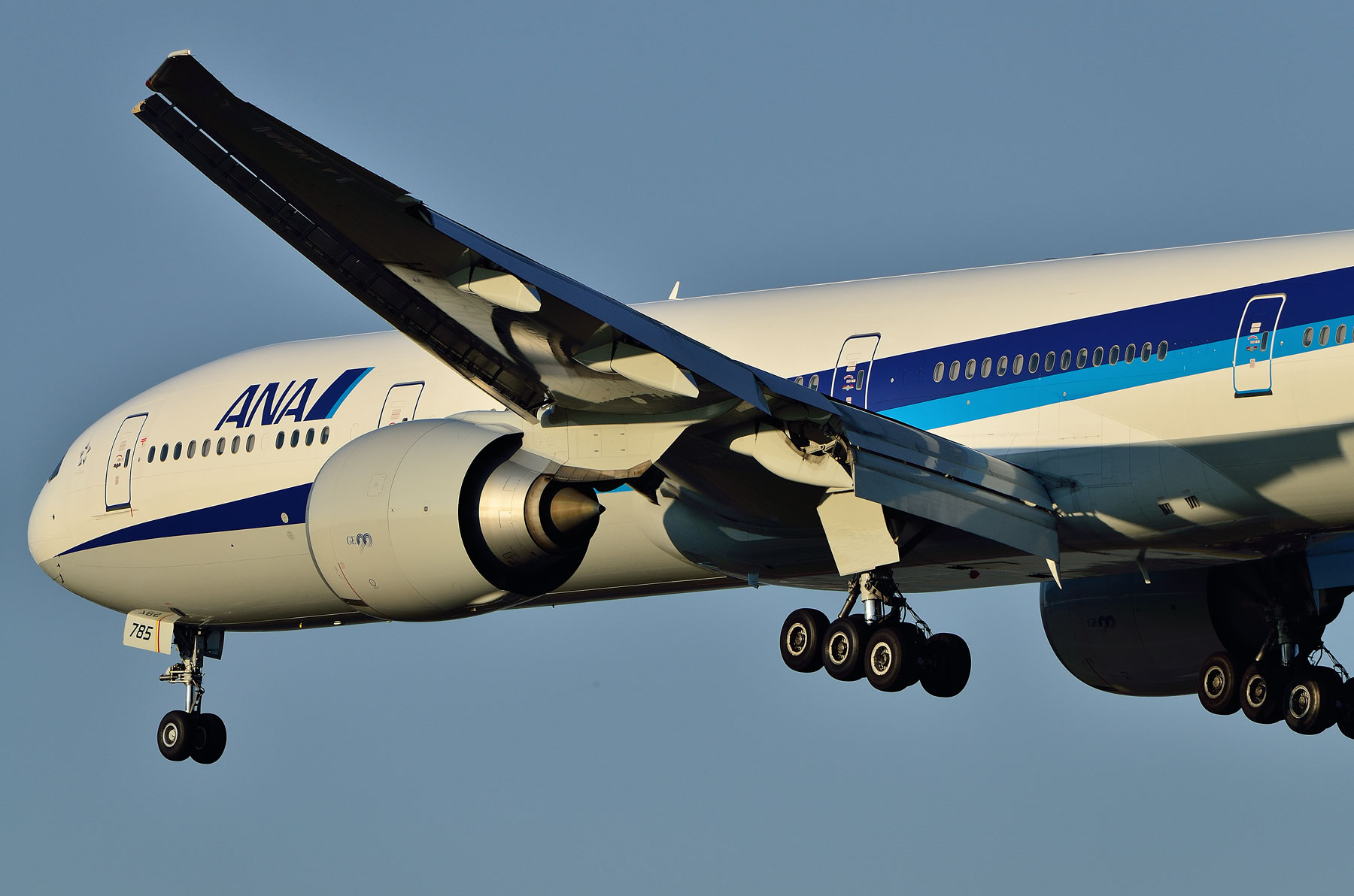 BOEING 777-300ER / JA785A : SKY LOUNGE GARDEN -transporter side- BOEING 777-300ER / JA785A : SKY LOUNGE GARDEN -transporter side-