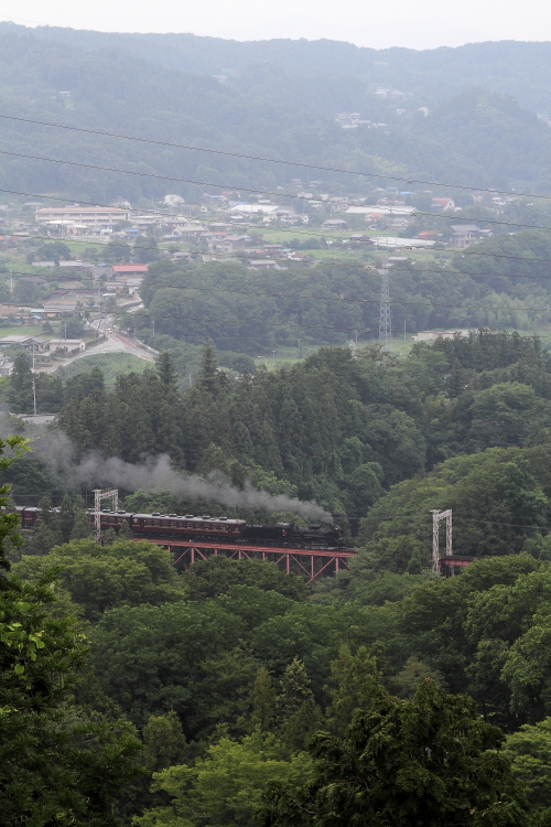 門デフ赤プレを少し大きめに撮ってみた - 2013年盛夏・秩父 - _b0190710_22204832.jpg