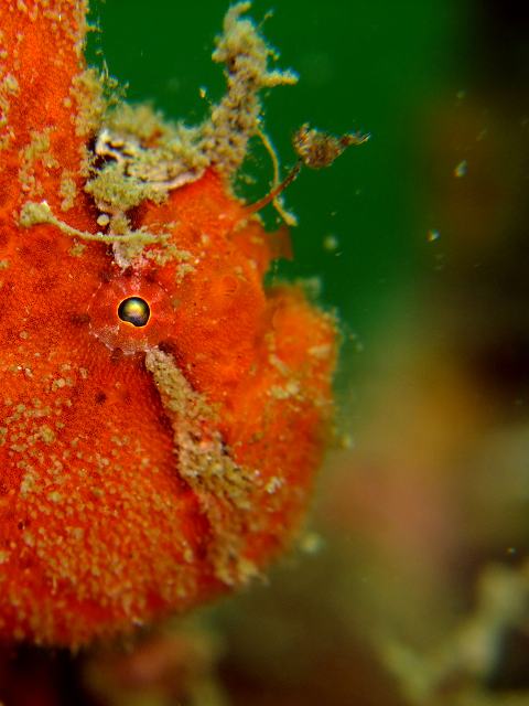 d0175710_11322437.jpg