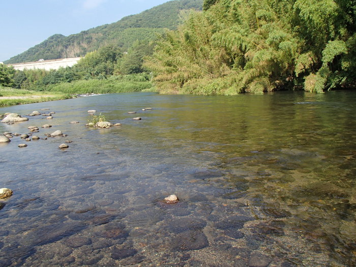 d0172227_4484327.jpg