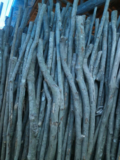 f0289033_21212236.jpg