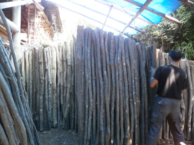 f0289033_21293591.jpg