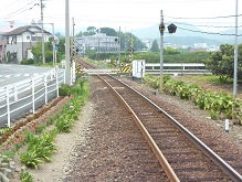 細江町ゆかた祭り2013_a0063538_21142718.jpg