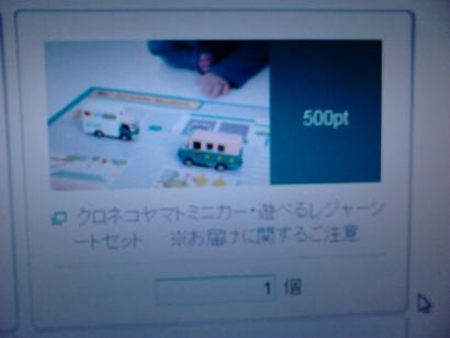 やっと500ポイント！！_e0089238_15155545.jpg