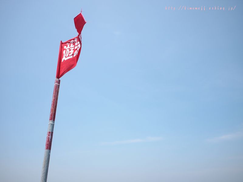 b0165444_10331945.jpg