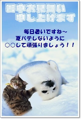 Windows8は手強いぞ~_b0134745_13312495.jpg