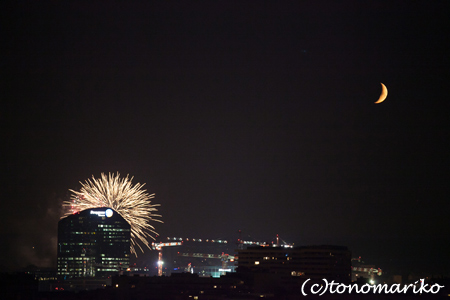 キャトルズ・ジュイエ前夜祭花火_c0024345_636136.jpg