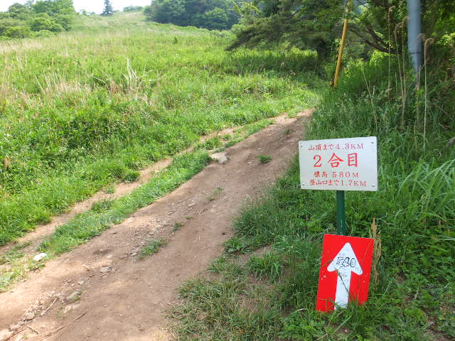 d0285546_11185880.jpg